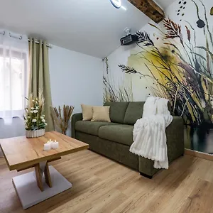 La Petite Rosee - Vienna Authentica Appartement Vienne (Isere)